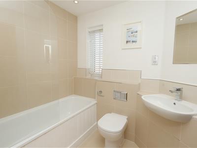 Picture 17